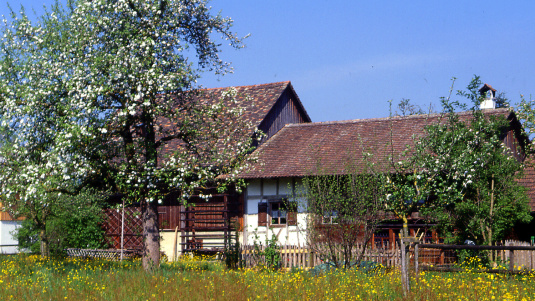 Bohlenständerhaus