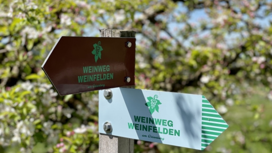 Weinweg Weinfelden