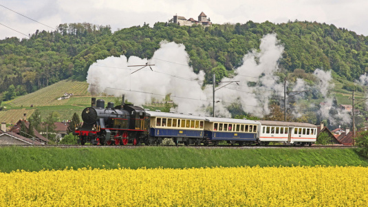 Verein zur Erhaltung der Bahnlinie Etzwilen-Singen