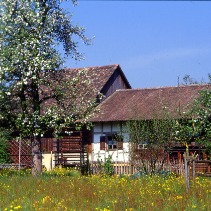 Bohlenständerhaus