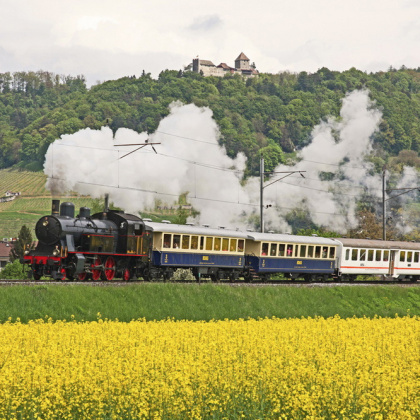 Verein zur Erhaltung der Bahnlinie Etzwilen-Singen